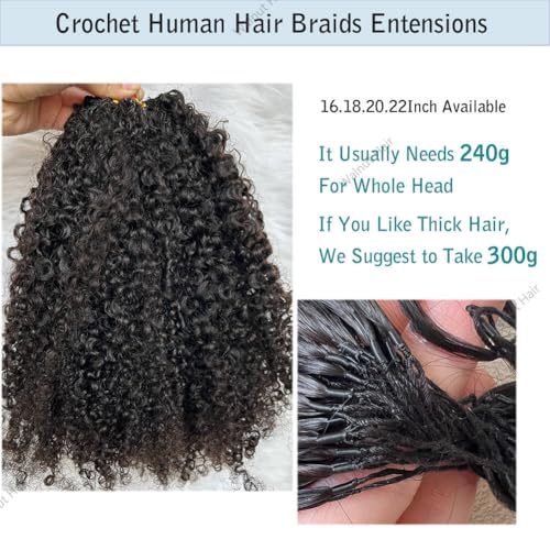 Knotless Pre Separated Crochet Human Hair Extensions Afro Kinky Curly Mongolian Virgin Braiding Hair Invisible Pre Looped Feather Braids Bundles For Black Women Walnut Hair 18inch 60g