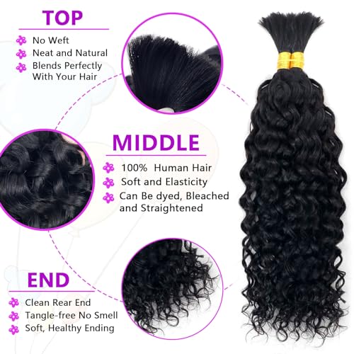 Forevermore Water Wave Bulk Human Hair No Weft boho Knotless Braids Human Hair 26 Inch Remy Human Hair For Braiding 2 Bundles Braids Per Pack 100g Micro Braiding Human Hair Wet and Wave Natural Color