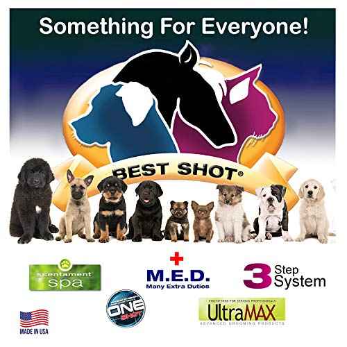 Best Shot Scentament Spa for Pets, Seasonal Facial Spa and Body Wash, Mango Maui, Tearless Shampoo, Hypoallergenic Body Wash, Reduces Tear Stains, 1 Gallon