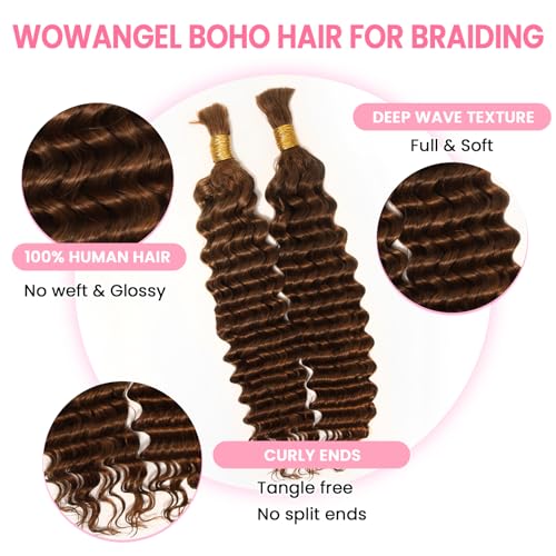 WOWANGEL Human Braiding Hair For Boho Braids 100g,100% Unprocessed Brazilian Virgin Hair, 12A Deep Wave Knotless Bohemian Bundles, Curly Hair Extensions,2 Bundles,Auburn Brown(30),24 Inch