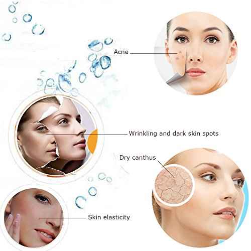 Hann Facial Steamer Professional Sinus Steam Inhaler Face Skin Moisturizer Facial Mask Sauna Spa Steamers with Aromatherapy Diffuser Humidifier Function (Purple)