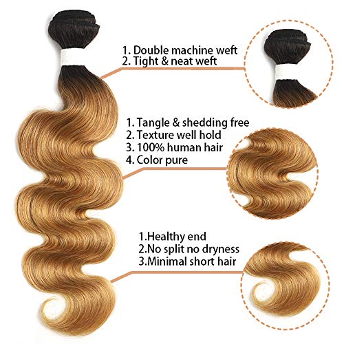 X-TRESS 1b27 Hair Bundles Body Wave 1 Bundle Ombre Honey Blonde Brazilian Hair Weave 100% Human Hair Extensions Bundles Ombre Color 27 Hair Weave(24 Inch, T1B/27)