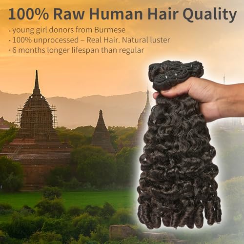 ASHINE Burmese Curly Bundles Human Hair Unprocessed Raw Burmese Curly Water Wave Human Hair Single Bundle 22 inch Natural Black