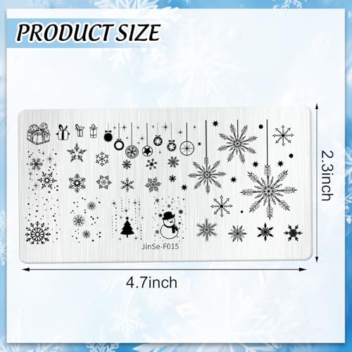 6Pcs Winter Snowflake Nail Art Stamping Plate Kit Christmas Assorted Snowflake Nail Art Plate for Xmas DIY Print Manicure Salon Studio