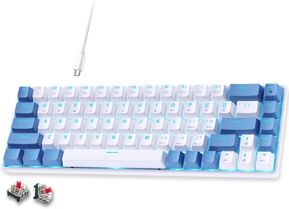 abucow 60% Mechanical Gaming Keyboard,Blue Switch Wired Compact Keyboard with Blue Backlight, Swappable Black Gray Keycaps, for Windows/Mac