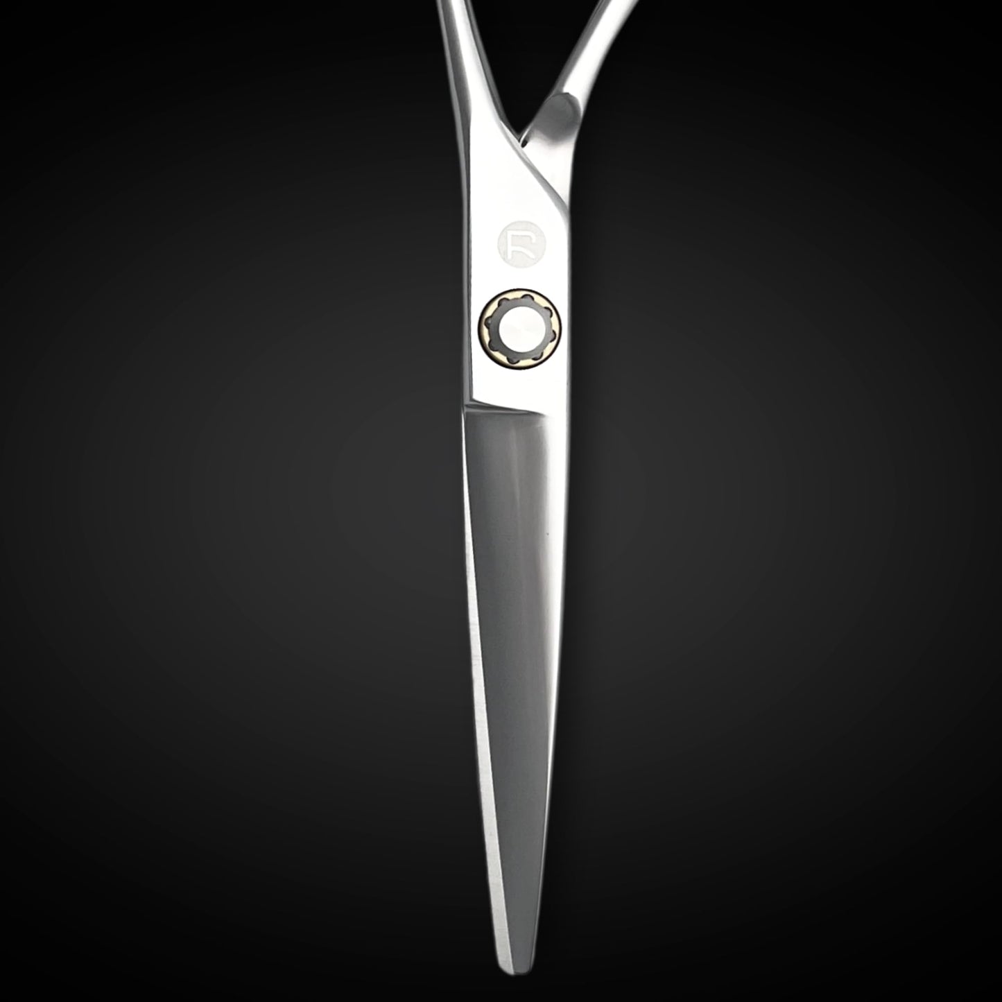 Professional Hair Cutting Scissors - 6 Inches - Convex Blade - Japanese 440C Stainless Steel - For Wet or Dry Cutting - Saki Shears Musashi For Hairdressers and Barbers
