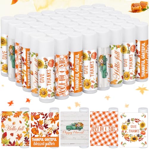25 Pcs Hello Fall Autumn Lip Balms Favors Bulk Fall Halloween Thanksgiving Lip Balm Party Gifts Basket Stuffers Small Thank You Appreciation Gift for Women Men Staff Coworkers