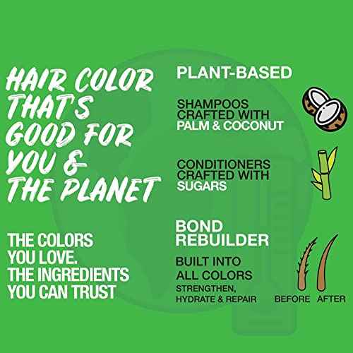 NO FADE FRESH Metallic Silver Color Depositing Conditioner - Semi Permanent Hair Color with BondHeal Bond Rebuilder - Silver Hair Dye - Deep Conditioner Hair Mask 6.4 oz