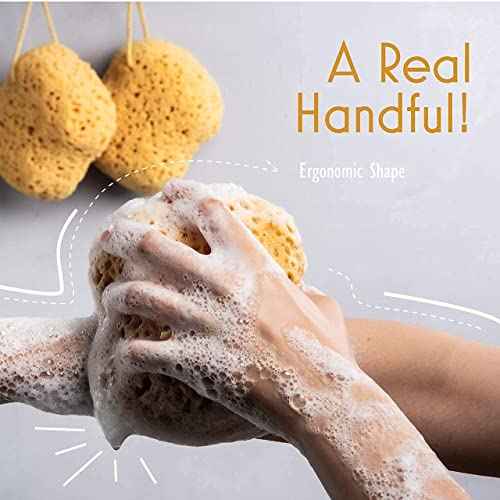 myHomeBody Bath Sponge, Foam Loofah, Body Scrubber for Bathing, Exfoliating Shower Pouf for Shower ? Large Size, Lots of Lather, Curvy, 3 Pack