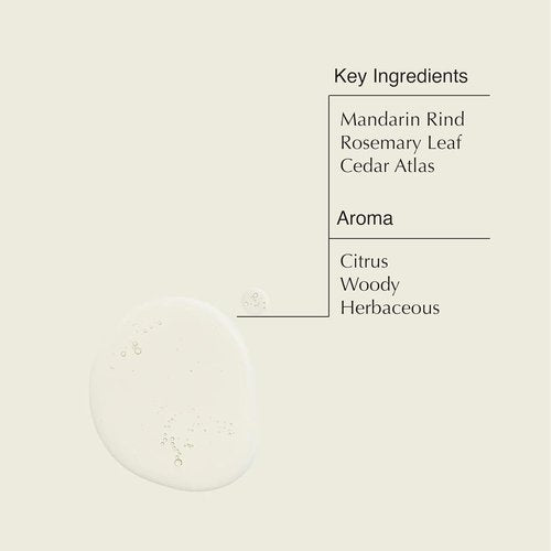 Aesop Resurrection Aromatique Hand Wash & Refill | Non-Drying Gentle Gel Hand Wash with Orange, Rosemary and Lavender Oils | 16.9oz / 500mL (Pack of 2)