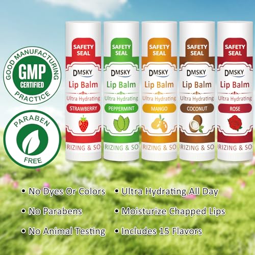 DMSKY 240 Pack Lip Balm, Natural Lip Balm Bulk with Vitamin E and Coconut Oil, Christmas Stocking Stuffers, Christmas Gifts for Women Girls-12 Flavors