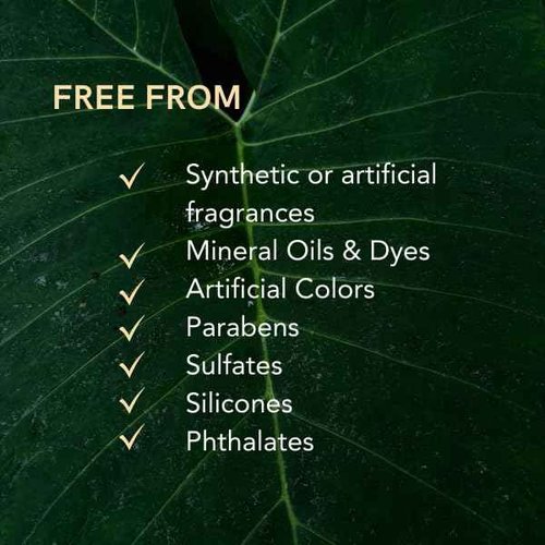 ASTE Ayurvedic Navel Oil for Belly Button, Navel Oiling with Castor, Ginger, Shatavari & Neem | Vegan Belly Button Oil for Skin Nourishment, Sleep & Wellness Ritual | (0.68 oz)