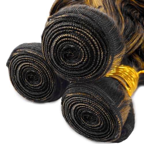 1B Ombre Bundles P1B/27 Two Tone Body Wave Human Hair Bundles Highlight Natural Black and Honey Blonde Weave Double Weft Brazilian Human Hair Extensions 18/20/22 Inch