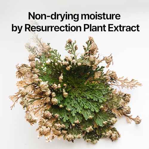 Pyunkang Yul PKY Dancheong Body Lotion, Intensive Moisture, Natural Scents with Essential Oils, Inspired by Fade-Resistant Korean Dancheong, Zero Irritation, Korean Skincare (11.83 Fl. Oz, 350ml)