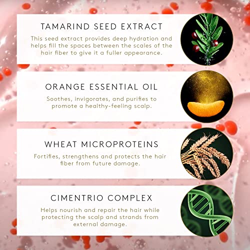 Rene Furterer TONUCIA Replumping Shampoo - For Thin, Weakened Hair Due to Aging - Redensify & Revitalize - Silicone-Free - Travel-Size