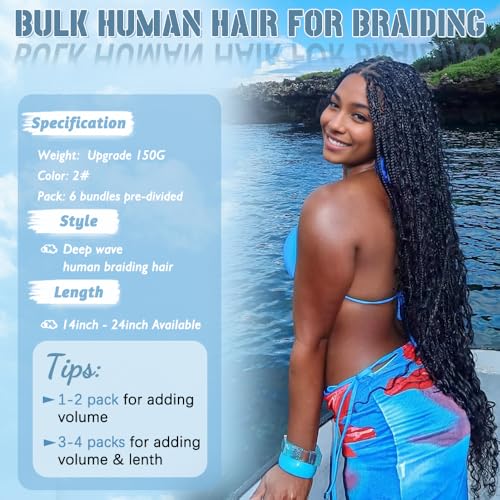Human Braiding Hair for Boho Braids 150g 24 Inch 6 Bundles/Pack Dark Brown Human Hair Deep Wave Bundles Boho Hair for Braiding 12A Knotless Human Hair Braiding Hair Curly Hair Extensions 2#