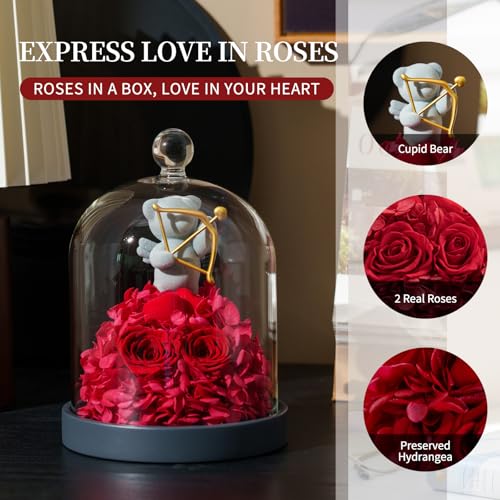 SEEROSE Preserved Rose with Cupid Bear in Glass Dome, Eternal Real Rose Romantic Gift for Her, Women, Mom, Wife, Girlfriend, Valentine¡¯s Day, Mother¡¯s Day, Christmas, Birthday (Cupid Bear, Red)