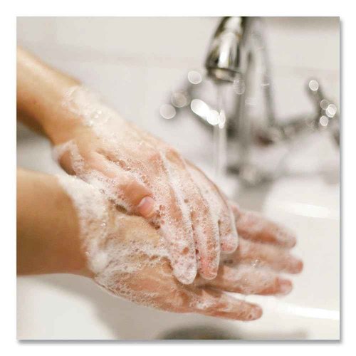 Dial Professional Antibacterial Liquid Hand Soap for Sensitive Skin, Floral, 16 Oz Pump, 12/Carton