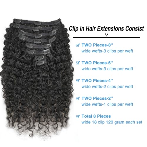 Burmese Curly Clip in Hair Extensions Real Human Hair 8Pcs Brazilian Human Hair Clip ins for Black Women With 18Clips 120g 22inch #1B Natural Black