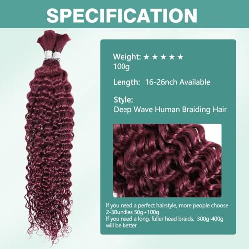 Human Braiding Hair 100g 26 Inch Deep Wave Bulk Human Hair for Braiding 2 Bundles/Pack No Weft Brazilian Virgin Deep Curly Human Hair Extensions Color 99J Burgundy Braiding Hair for Micro Braids