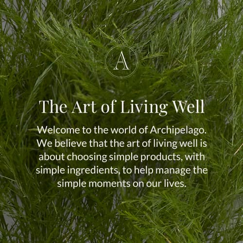 Archipelago Botanicals Arugula Reed Diffuser, Home Fragrance Reed Diffuser, Includes Fragrance Oil, Decorative Wooden Cap & 10 Diffuser Reeds, Perfect for Home, Office or Gift, 7.85 fl oz