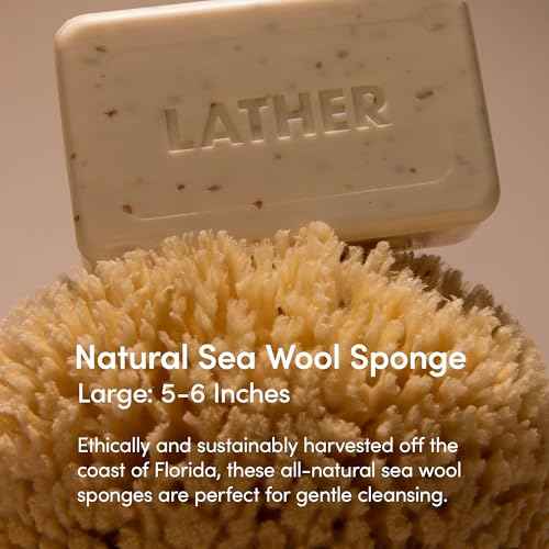 LATHER - Natural Sea Wool Sponge, 5-6" - Organic Exfoliating Body Scrubber - Soft, Gentle Cleansing - Hypoallergenic - All Skin Types - Florida Natural Loofah Sponge - Cruelty Free - Beauty & Skincare