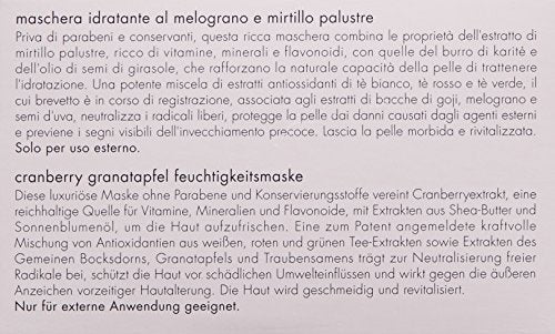 June Jacobs Cranberry Pomegranate Moisture Masque, 4 Fl Oz