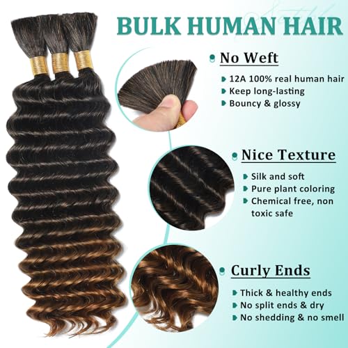 Ombre Human Braiding Hair for Boho Braids 22 Inch 120g Deep Wave Bulk Boho Human Hair for Braiding Curly Knotless Bohemian Braids 12A 100% Brazilian Virgin No Weft Extensions 3 Bundles/Pack T1B/30