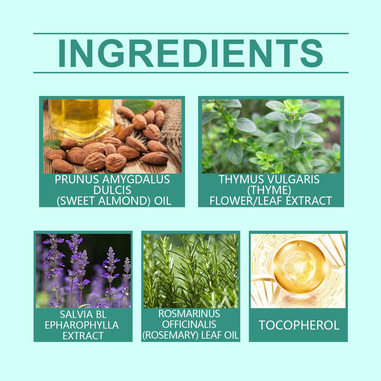 Thyme Extract Body Balm - Deeply Moisturizing & Soothing Skin Cream