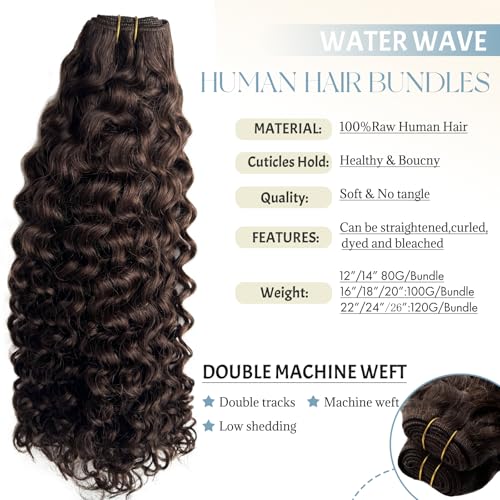 Water Wave Human Hair Bundles Sew in Hair Extensions Real Human Hair Wefts, Chocolate Brown Hair Wefts Extensions Real Human Hair Weave Bundles 22 Inch Burmese Human Hair Weft Curly Bundles 120G