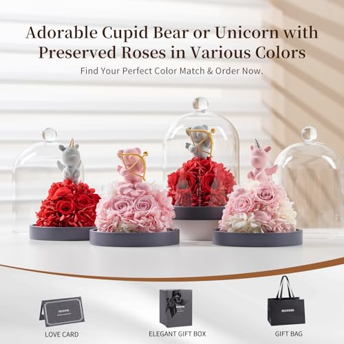 SEEROSE Preserved Rose with Cupid Bear in Glass Dome, Eternal Real Rose Romantic Gift for Her, Women, Mom, Wife, Girlfriend, Valentine¡¯s Day, Mother¡¯s Day, Christmas, Birthday (Cupid Bear, Red)