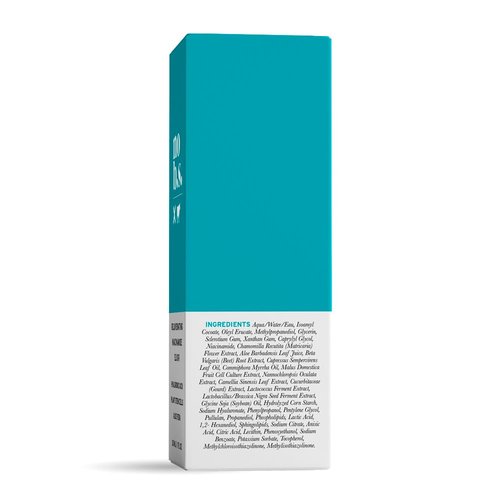 No Bad Stuff - Niacinamide Serum - Rejuvenates, Smooths, + Restores Skin with Vitamin B3, Hyaluronic Acid, and Aloe Vera (1 oz)