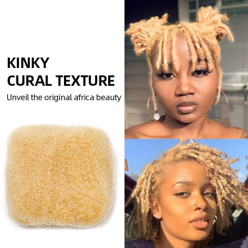 Afro Kinky Bulk Human Hair for Draedlock Extensions, Repair Locs, Twists and Braids 10 Inch Pack of 3, #613 Blonde