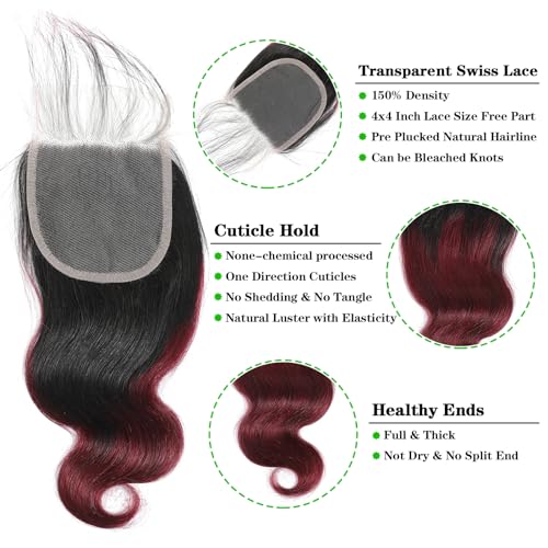 Kapelli Hair Ombre Human Hair Bundles With Closure (12 14 16+12) 100% Brazilian Virgin Human Hair Body Wave Bundles with Closure 2 Tone Black to Burgundy Human Hair Weave