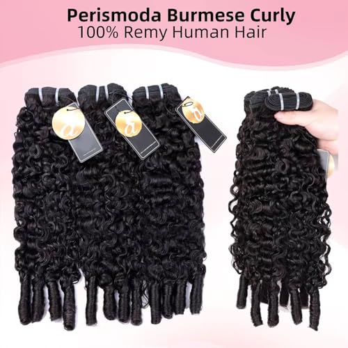 PerisModa 15A Raw Burmese Curly Bundles 100% Human Hair Bundles Pix Curly Bundles Unprocessed Human Hair Extensions 22 Inches 1PC 100% Unprocessed Virgin Water Wave Hair For Women Natural Black