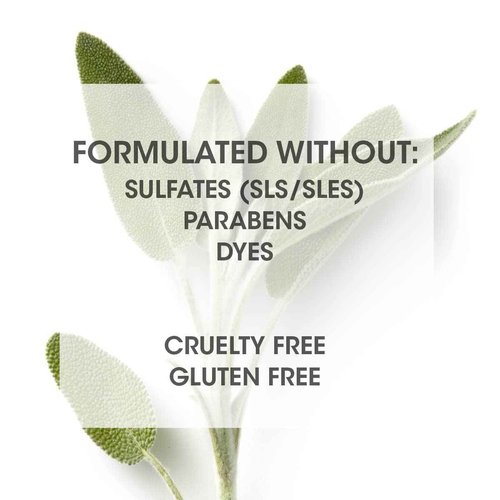 SEVEN Haircare Cubica 7-DAY Conditioner for Women + Men, Detangle and Moisturize Hair, Sulfate + Paraben Free, Cruelty Free with Honey, Shea Butter & Pro Vitamin B5, Made in USA, 32 oz