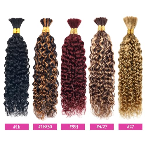Water Wave Bulk Human Hair for Braiding #T4/P4/27 No Weft Curly Wet and Wavy 100% Unprocessed Brazilian Virgin for Boho Braids 2 Bundles/Pack (24inch 100g)