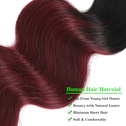 Kapelli Hair Ombre Human Hair Bundles With Closure (12 14 16+12) 100% Brazilian Virgin Human Hair Body Wave Bundles with Closure 2 Tone Black to Burgundy Human Hair Weave