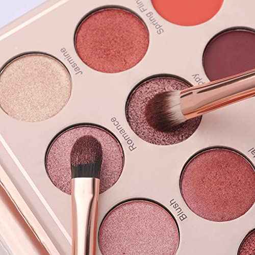 Eye Makeup Brush Set, 6 Pcs Professional Blending Eyeshadow Makeup Brushes for Concealer Eyebrows Eyeliner, Soft Hairs & Wood Handle