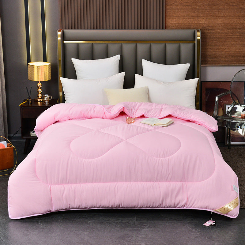 Thickened Silk Floss Summer Duvet Insert for Home Bedding