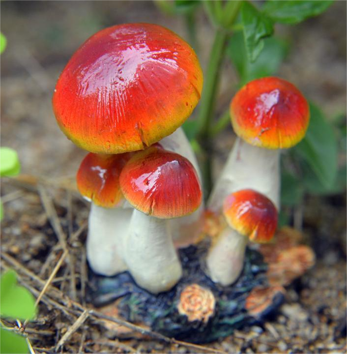 Small Mushroom Resin Decoration - Rustic Garden and Home Ornament