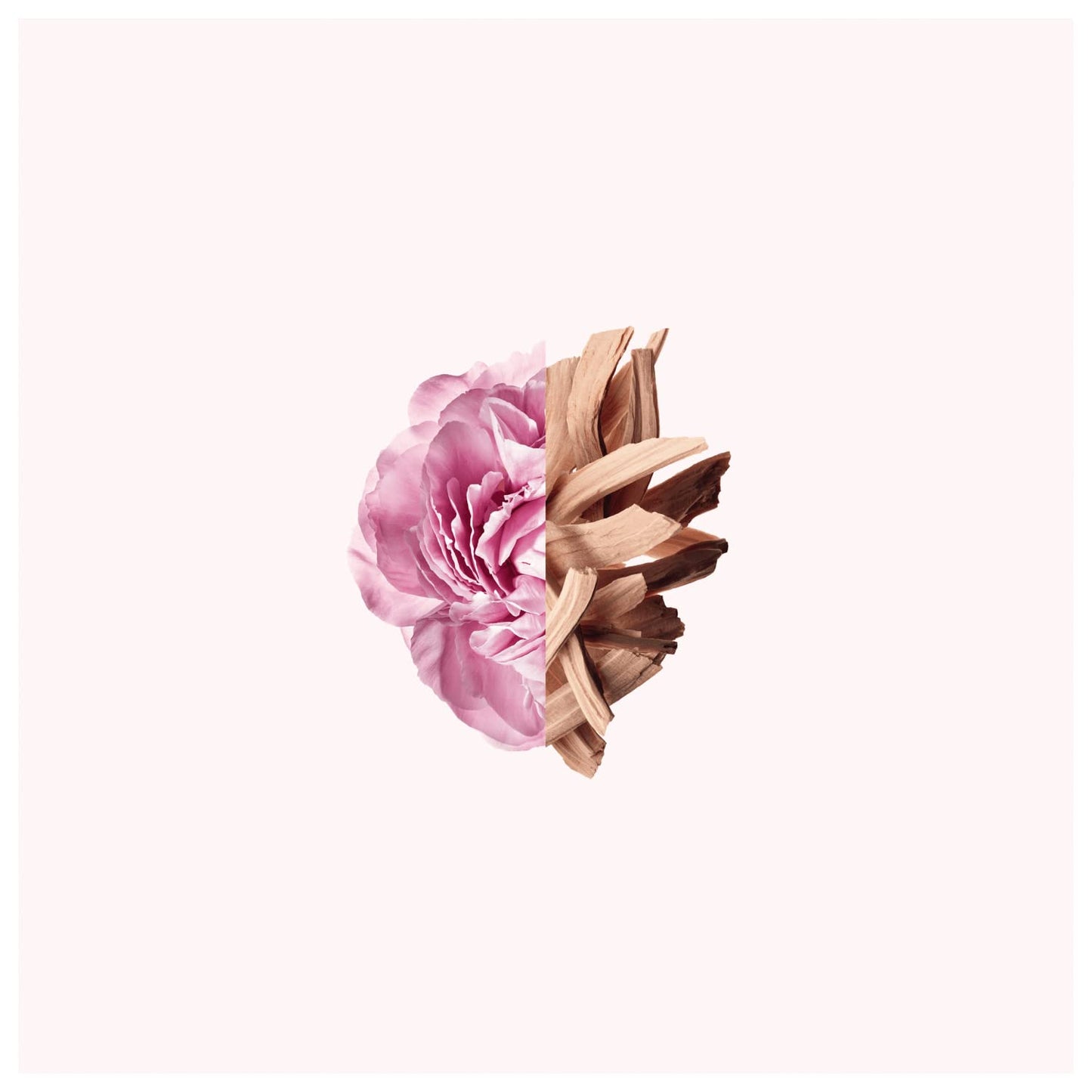 Givenchy Irresistible EDT Spray Women 2.7 oz