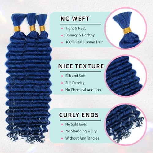 16 Inch Deep Wave Human Braiding Hair for Boho Braids ? 120g 3 Bundles/Pack Blue 100% Unprocessed 12A Brazilian Virgin Human Hair Bulk, No Weft, Wet & Wavy Curly Extensions