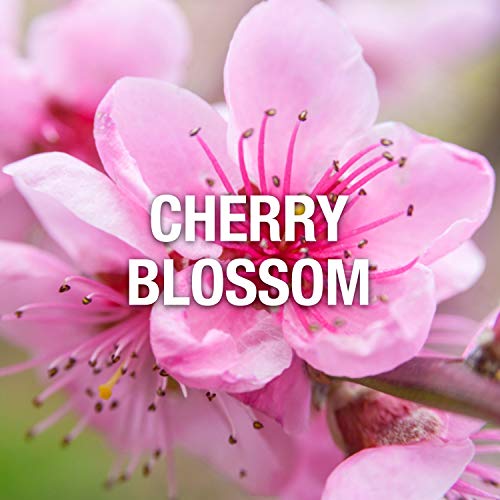 Giorgio Beverly Hills Red Perfume for Women, 3 fl. oz. EDT Spray