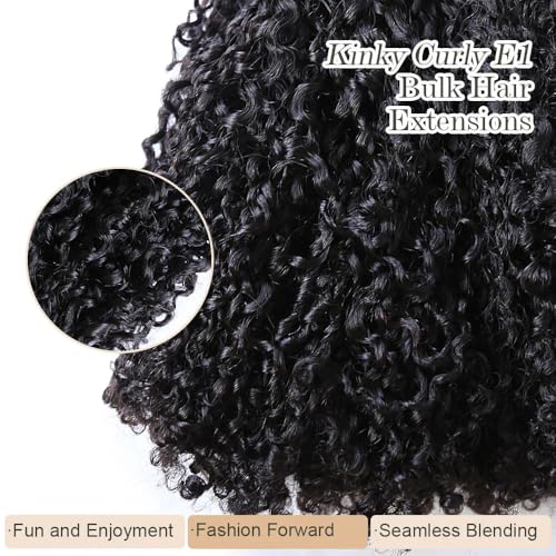Afro Kinky Bulk Human Braiding Hair 100% Unprocessed Brazilian Virgin Human Hair Extensions Micro Kinky Curly Braids Hair Braids Double Drown Full End Bulk Hair 22 Inch 100g