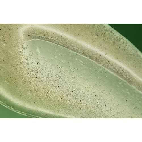 Aesop Geranium Leaf Exfoliating Body Scrub | Smooth, Soft, Hydrated Skin | 6.2 oz / 180mL