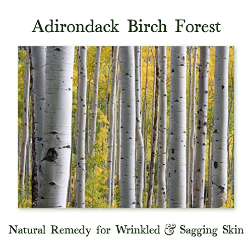 Adirondack Fragrance & Flavor Farm ADK Birch Soap Natural Soap Bar 16oz, Plant-Based Organic Vegan Soap with Essential Oils, Natural Body Wash for Men & Women, Dry and Sensitive Skin