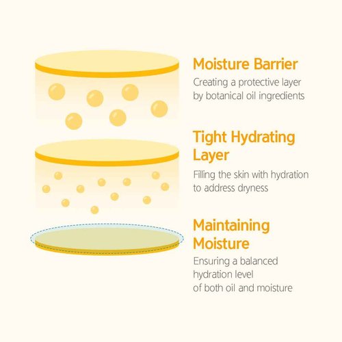 NACIFIC Fresh Herb Origin Triple Set (Toner 150ml, Serum 50ml, Cream 50ml) 82% PotMarigold Flower Water, Moisturizing, Niacinamide, Pore, Sepicalm, Orange