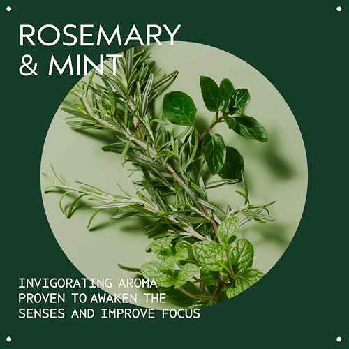 Aveda Rosemary Mint Body Lotion | Lightweight Cooling Lotion with Menthol | with Invigorating Aroma of Certified Organic Peppermint & Rosemary, 6.7 Fl Oz