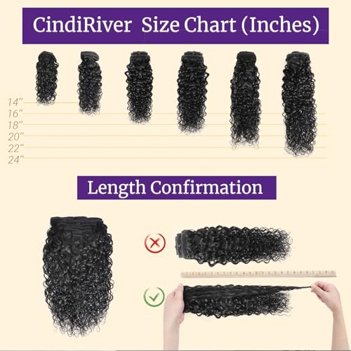 Curly Clip in Hair Extensions,Real Human Hair Water Wave Clip in Hair Extensions for Women,Remy Human Curly Clip ins Human Hair 8 Pcs with 20 Clips,22 inch